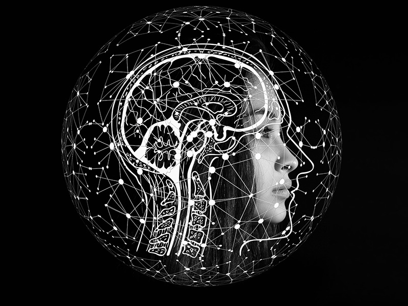 私域運(yùn)營是做什么的？快速提升私域流量，迎接爆款！